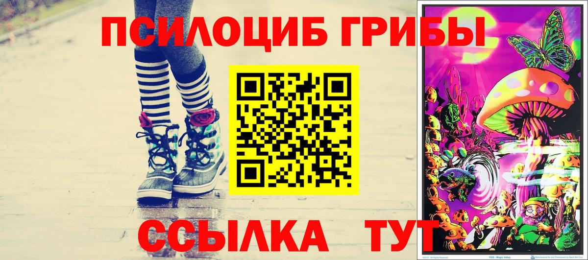 Тавда  Галлюциногенные грибы GOLDEN TEACHER  Галлюциногенные грибы мухоморы  Вход с VPN 