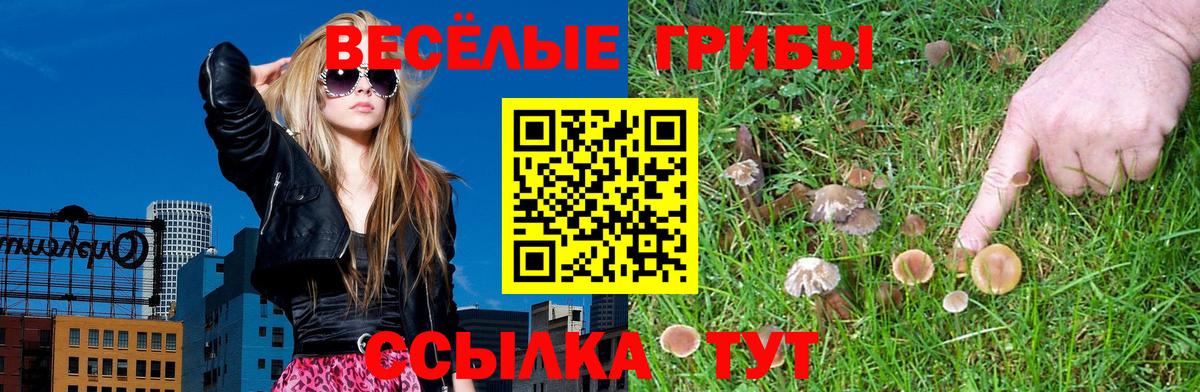 Псилоцибиновые грибы MAGIC MUSHROOMS Тавда