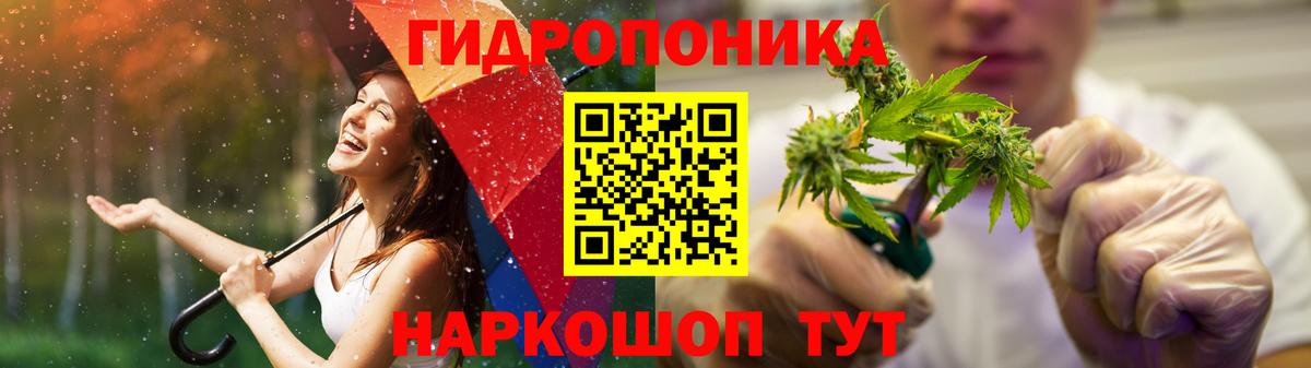 Бошки Шишки LSD WEED  Конопля Bruce Banner  Тавда  Вход с VPN  Марихуана SATIVA & INDICA 
